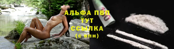 PSILOCYBIN Армянск