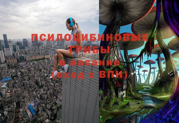 PSILOCYBIN Армянск