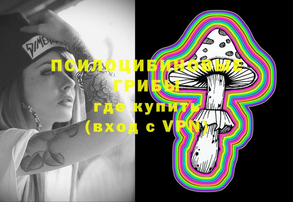 молекула духа Аркадак