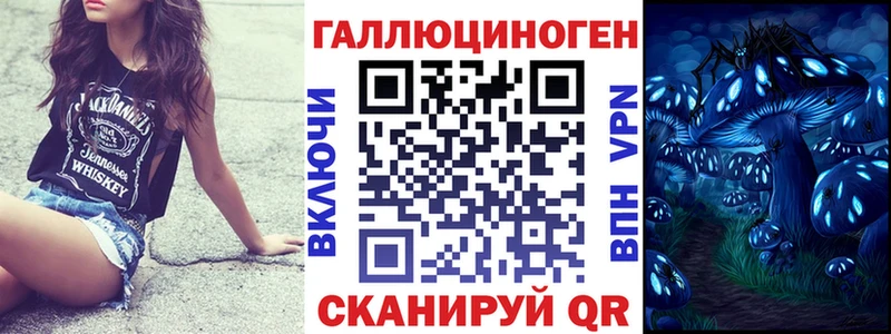darknet состав  ОМГ ОМГ как войти  Приозерск  Галлюциногенные грибы Cubensis 