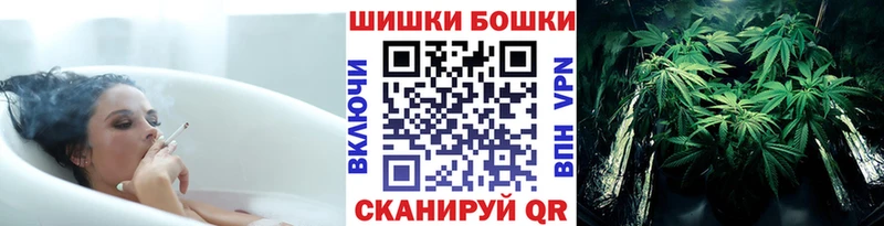 Шишки марихуана сатива  Приозерск 